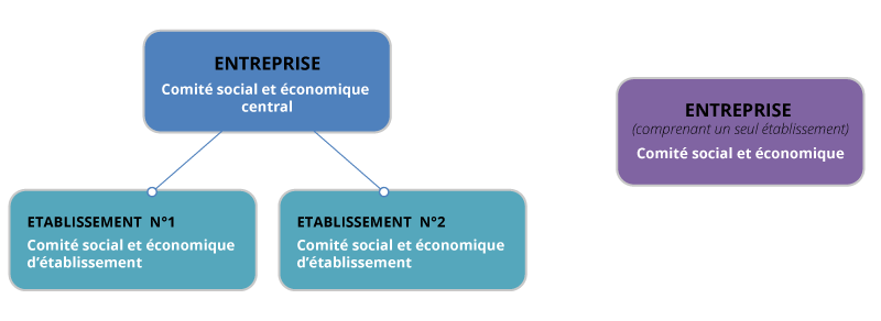 Différents niveaux de mise en place du CSE